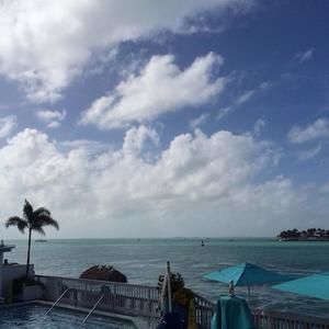 Meet your Posher, Betsy